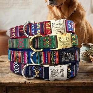 Dog Collar Personalized Name Phone Address Monogram on Buckle Red Green Blue Black Southwest