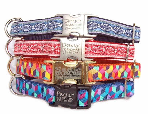 Engraved hotsell pet collars