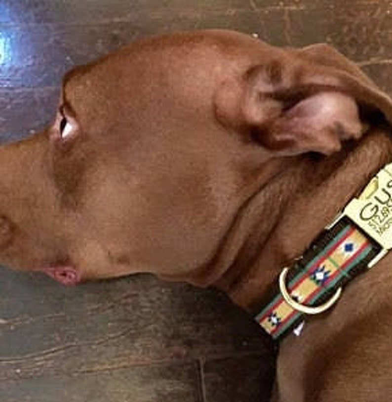 Dog Collar Laser Engraved Buckle Pet ID Tag Personalized Metal Etsy