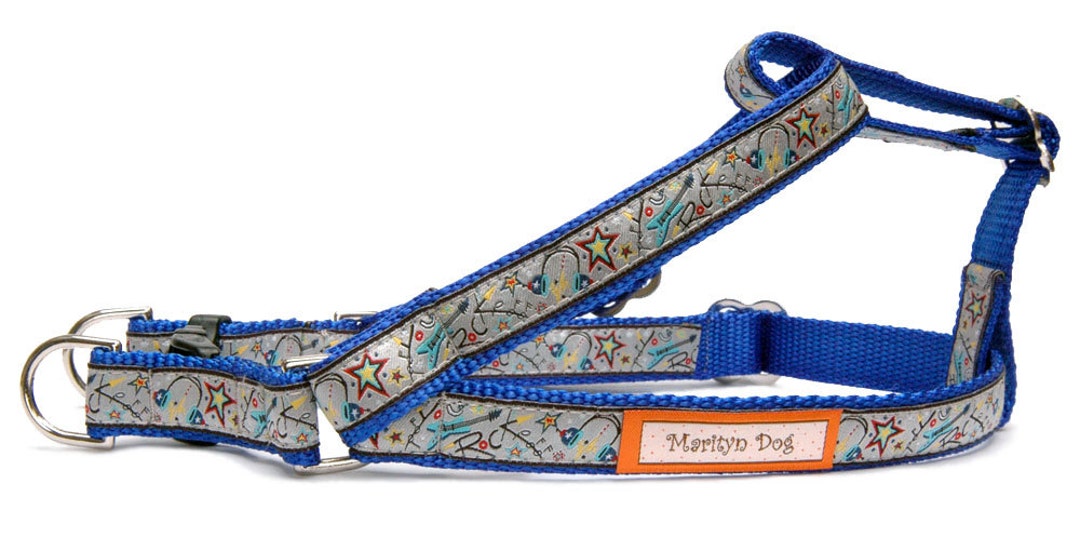 Boy Dog Harness Dog Leash Blue Step in Dog Harness Rock Star Cool Male