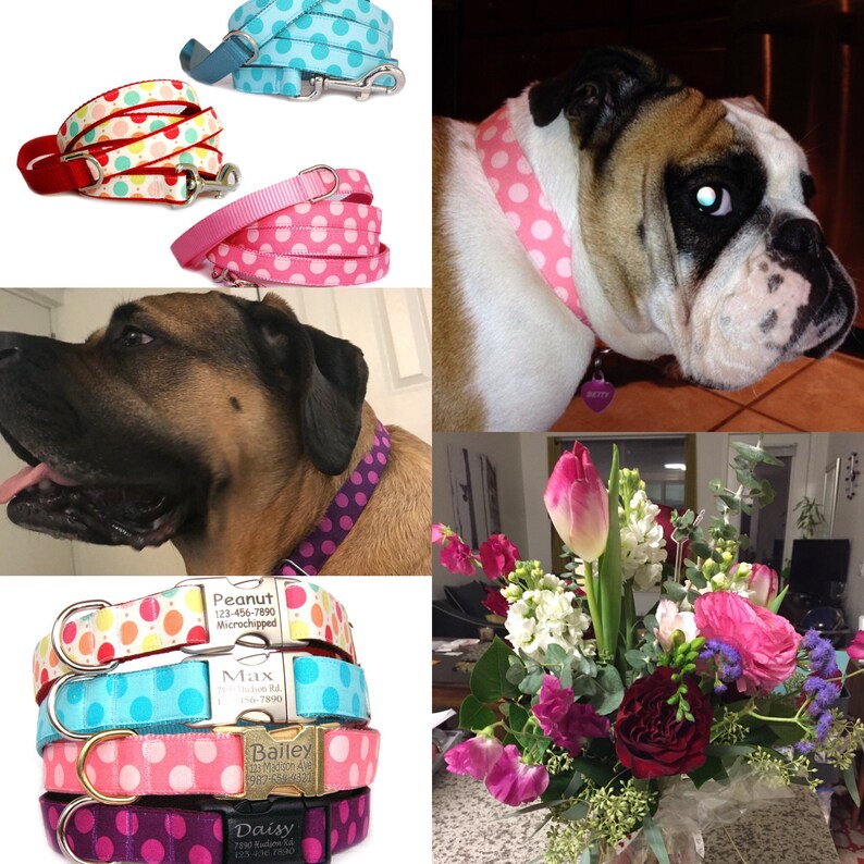 Personalized Dog Collar Dog ID Tag Metal Buckle Collar Laser Etsy