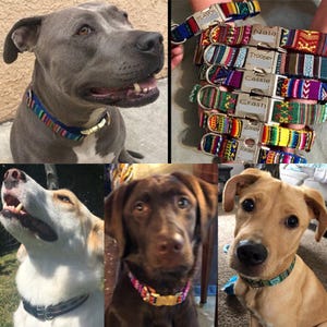 Personalized Dog Collar: Laser Engraved Metal Buckle, Southwestern Tribal Aztec Design zdjęcie 15