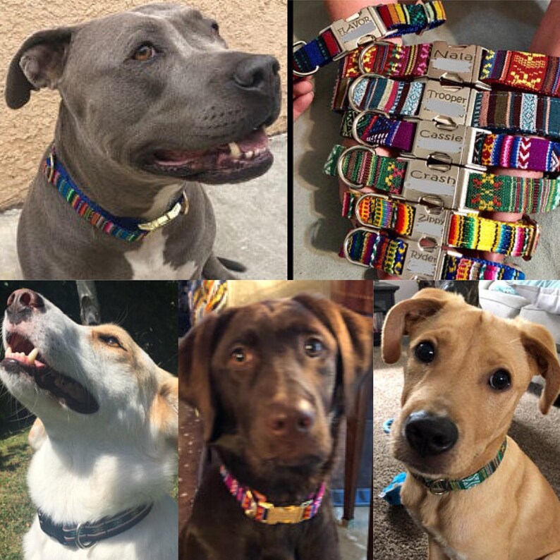 Personalized Dog Collar: Laser Engraved Metal Buckle, Southwestern Tribal Aztec Design zdjęcie 15