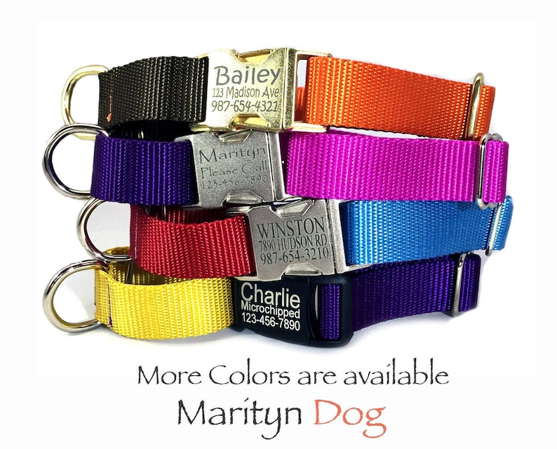 Solid Martingale Dog Collar Personalized Dog Id Tag Laser Etsy