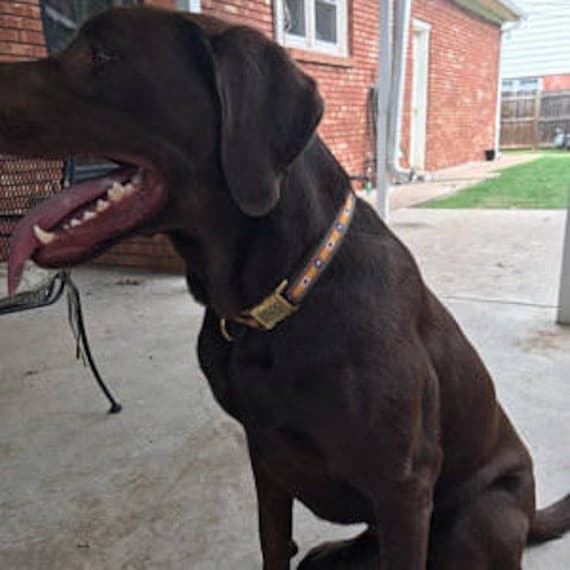 【爆買い！】 】The 首輪とリード 大型犬 Black Campany（大型犬に Lab 首輪・ハーネス・リード