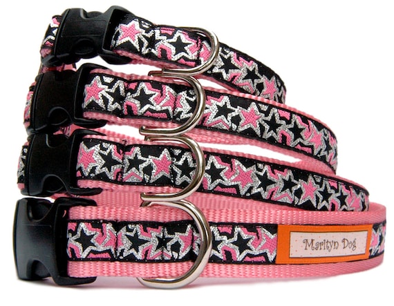 funky dog collars and leashes