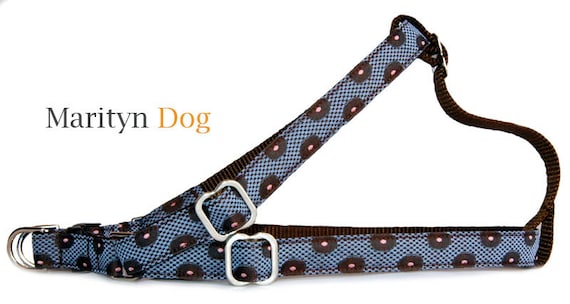 Cute boy dog harness 2025