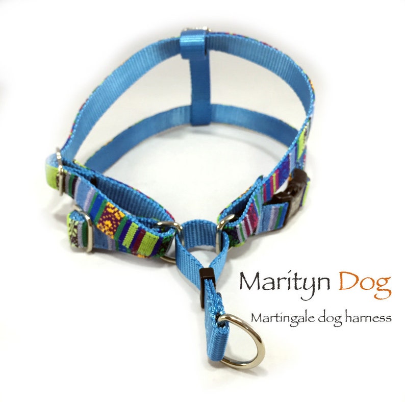 Martingale dog harness Personalized laser engraved buckle Etsy