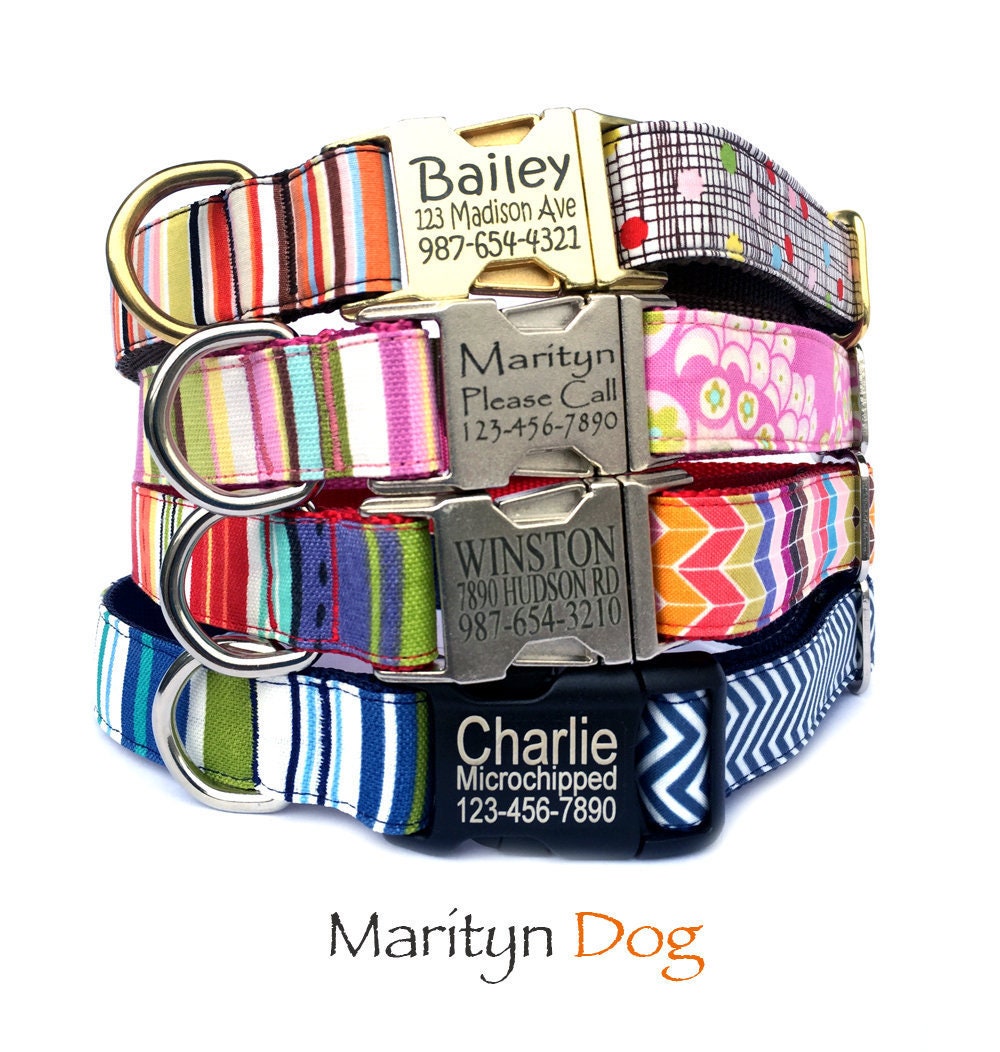 Marityn dog collar discount