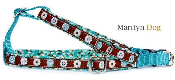 turquoise dog harness