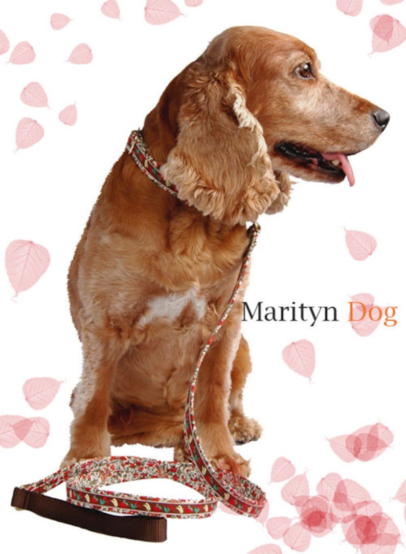 Floral Dog Collar Cute Girl Dog Collars for Small Dog Large Etsy