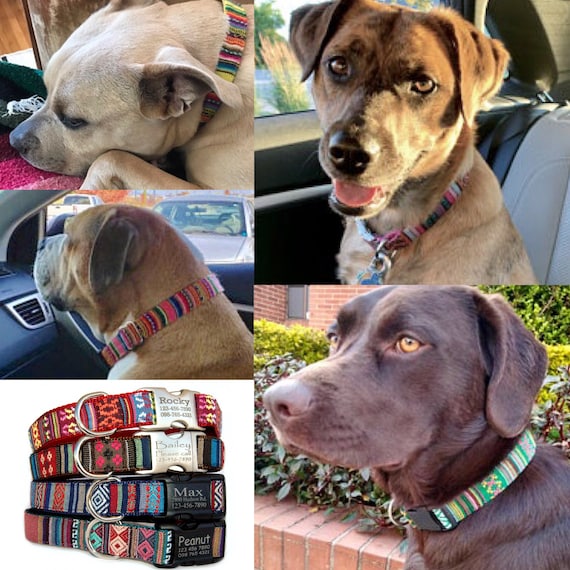 Collares para perros Personalizados Grabado láser etiqueta de - Etsy España