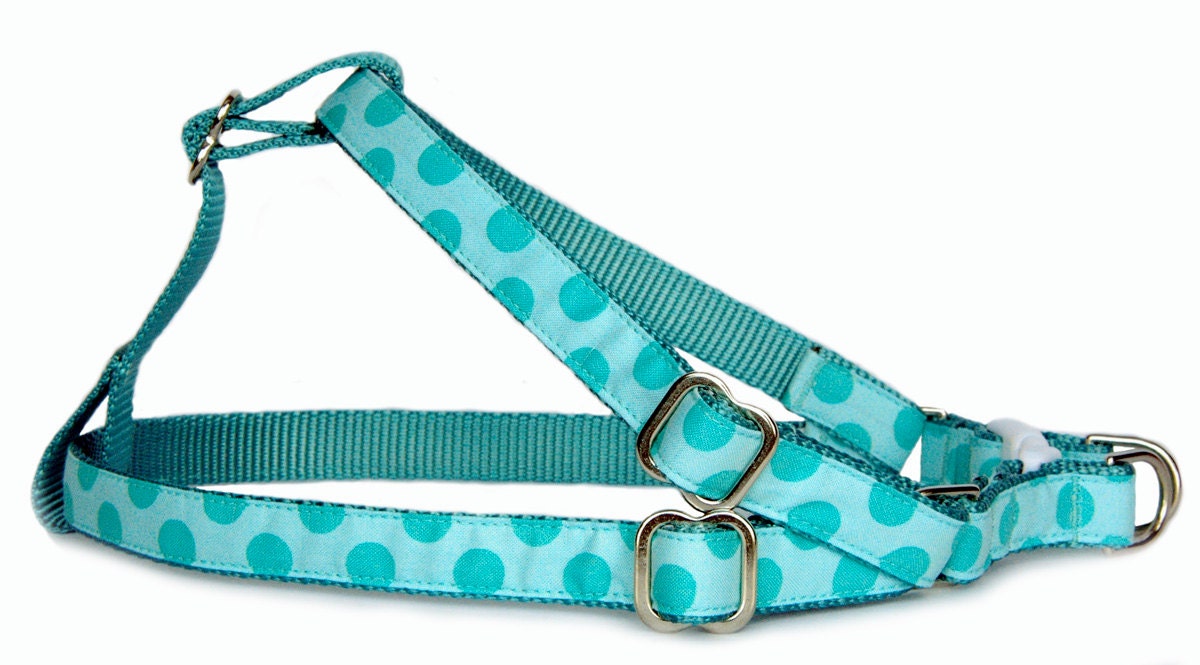 turquoise dog harness