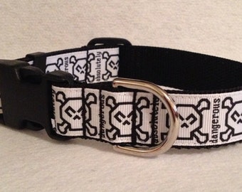 1" Buckle or Martingale- Absolutely Dangerous