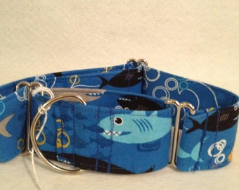 2" Martingale - Shark Attack