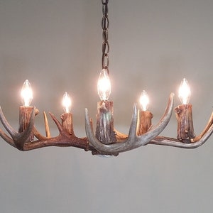 19-21" Dia. 5-Light "Low Profile" Whitetail Antler Chandelier (6-8" H.)