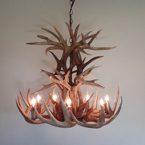 29-30&quot; Dia. 7-Light + Down-Light / Double Tier &quot;REAL&quot; Whitetail Antler Chandelier (23-25&quot; H)