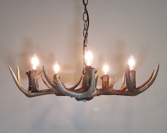 22-24" Dia. 5-light "Low Profile" Whitetail Antler Chandelier (6-8" H)