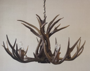 30-31" Dia. 5 - Light + Down-Light / "REAL" Mule Deer Antler Chandelier (16-17" Height)