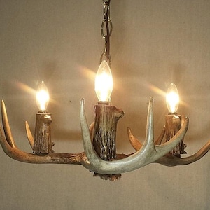 May include: A chandelier made from antlers with three light bulbs. The antlers are a natural light brown colour and the bulbs are clear glass.
