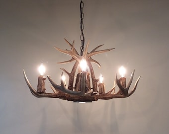 22-23" Dia. 5-Light + Down-Light / "REAL" Whitetail Antler Chandelier (10-12" Height )