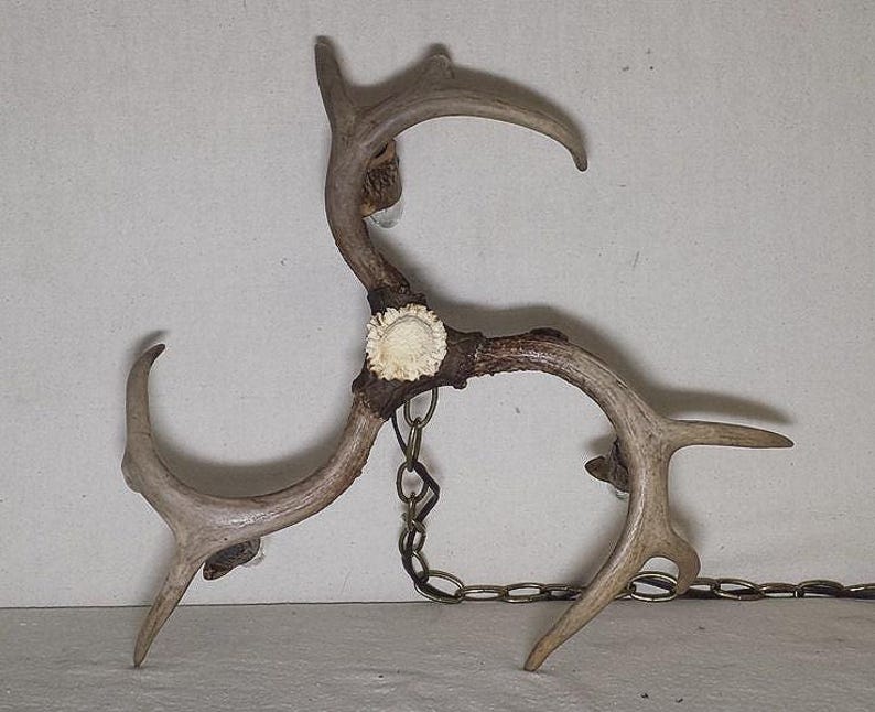 May include: A three-pronged antler chandelier with a chain hanging from the centre. The antlers are connected by a metal chain and have a white, circular, decorative piece in the centre.