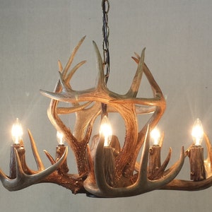 24-25" Dia. 5-Light + Down-Light / "REAL" Whitetail Antler Chandelier "SWIRL" (13-15" Height)