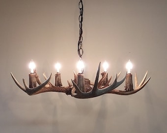 May include: A chandelier made from antlers with five light bulbs. The antlers are a natural brown color and the light bulbs are clear.