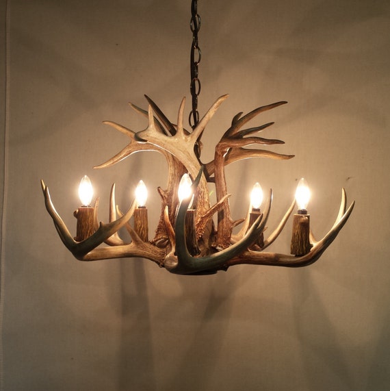 24-25" Dia. 5-Light + Down-Light / "REAL" Whitetail Antler Chandelier (12-13" Height)