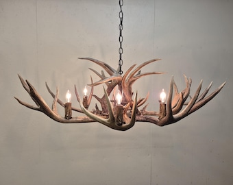 36-38" L. x 26-27" W. x 16-17" H. 6-Light + Down-Light / "REAL"  Whitetail / Mule Deer Combo Antler Chandelier
