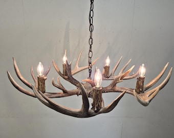 30-31" Dia. 5-light "Low Profile" Whitetail Antler Chandelier (8-9" H) NO Down Light