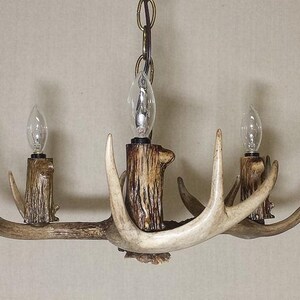 May include: A rustic chandelier made from antlers with three light bulbs. The antlers are a natural light brown colour and the chandelier is hanging from a chain.