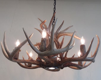 28-30" Dia. 6-Light + Down-Light / "REAL" Whitetail Antler Chandelier (15-16" Height)