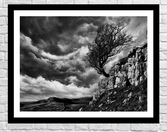 Windswept I lino print of windswept thorn tree rocks moorland and blue sky on Dartmoor