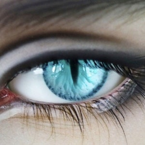 Beast version Realistic Resin Doll Eyes for YOSD MSD sd13 sd17 BJD ,  12mm 14mm 16mm 18mm Eyes