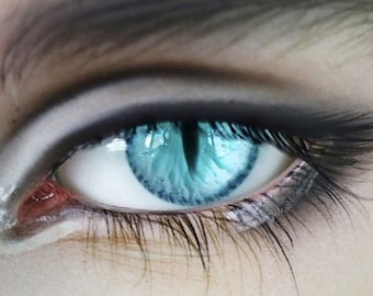 Beest versie Realistische Resin Doll Eyes voor YOSD MSD sd13 sd17 BJD, 12mm 14mm 16mm 18mm Ogen