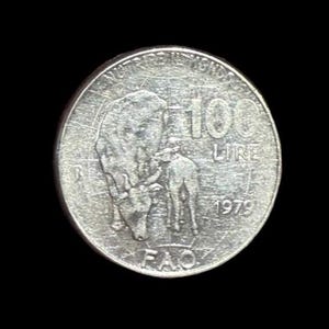 Vintage Italian 100 Lire, 1979, Commemorative issue, FAO, Nutrire Il Mondo Vintage Coin from Italy, Repubblica Italiana, Pre Euro Coin