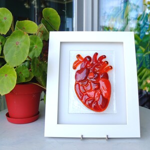 May include: A framed glass art piece depicting a red anatomical heart. The heart is made of multiple pieces of red glass, creating a textured and dimensional effect.