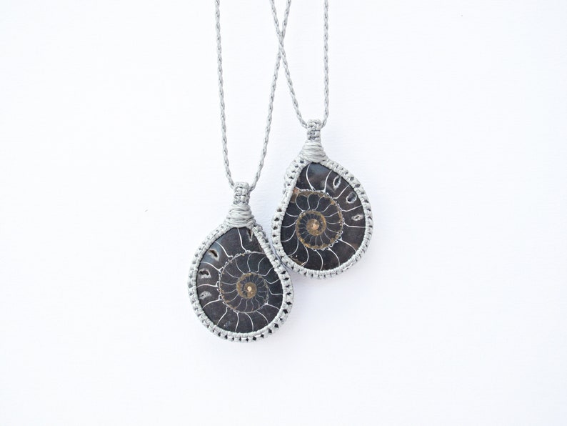 Ammonite two halves of a whole fossil for two special people in grey