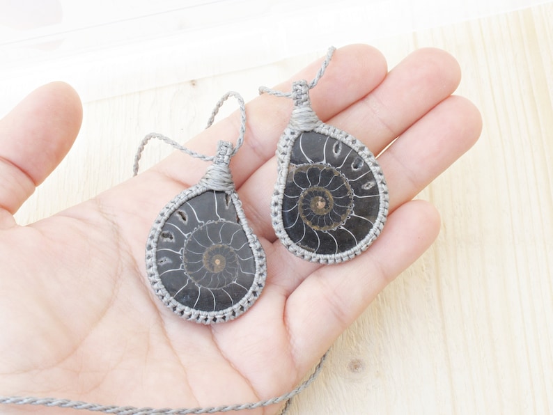 Ammonite two halves of a whole fossil for two special people in grey