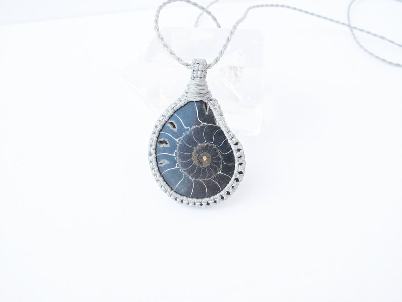 Ammonite two halves of a whole fossil for two special people in grey