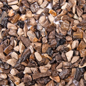 Tumbled Petrified Wood Crystal Chips, DIY Orgonite Supply, Ships from USA
