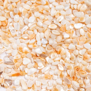Tumbled Mother of Pearl Chips (LIGHT), Seashell Pieces, DIY Orgonite Supply, Ships from USA
