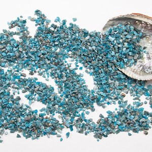 May include: A close-up of a pile of blue-green gemstone chips, some of which are spilling out of a white abalone shell.