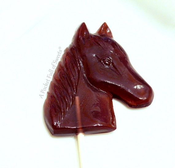 Kentucky Derby Bridal Shower, NON GMO Pops, Kentucky Derby Wedding, Kentucky Derby Baby Shower, Horse Birthday Party Favors, Western Wedding Il_570xn