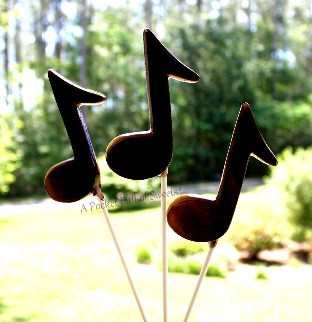 Tik Tok Party Favor, Karaoke Party Favor, Karaoke Birthday Party, Music