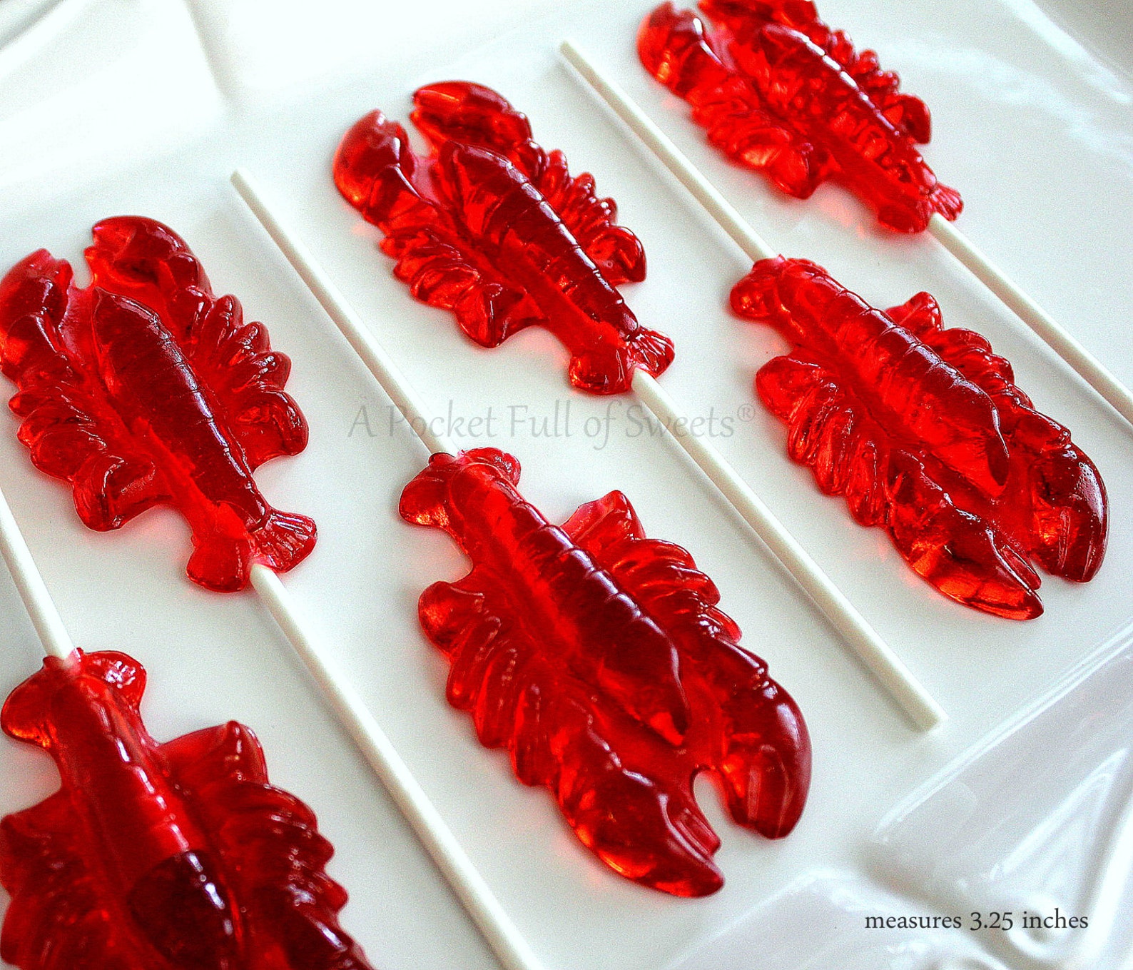 Lobster Party Favor NON GMO He's Her Lobster Lobster Etsy