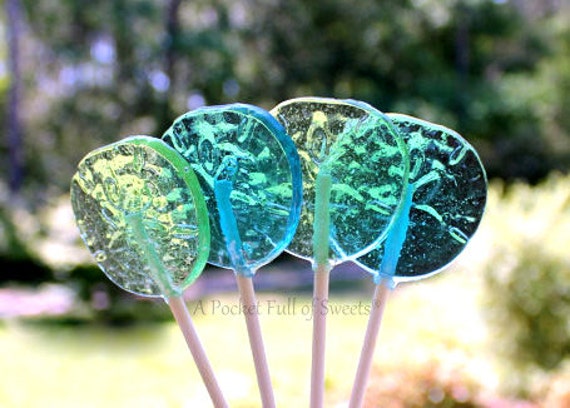 Sand Dollar Party Favor, NON GMO, Ocean Wedding, Mermaid Baby Shower, Mermaid Wedding, 14 Beach Wedding Favors, Ocean Baby Shower, Barley Il_570xn