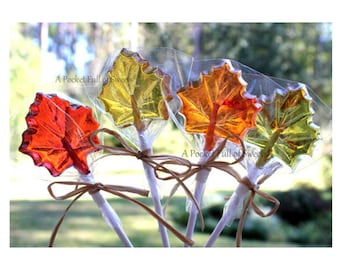 Assorted Colors, Fall Wedding Favors, NON-GMO, Wedding Decorations, Maple Leaf, Fall Leaves, Bridal Shower, Birthday Favor, Wedding Favors