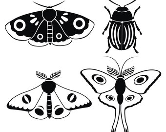 Set of 4 Bug Decals // Beetle Decal // Moth Decal // Moon Moth // Bug Stickers // Laptop Decal // Kids Room Decals // Wall Art // Car Decals